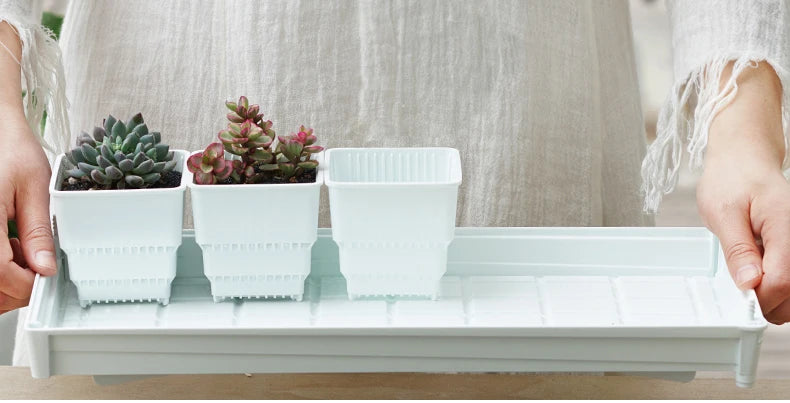 Meshpot Plastic Saucer Plant Tray Flower Pot Storage Rectangle Succulent Pot Tray  in Round Square Shaped for Home Decor