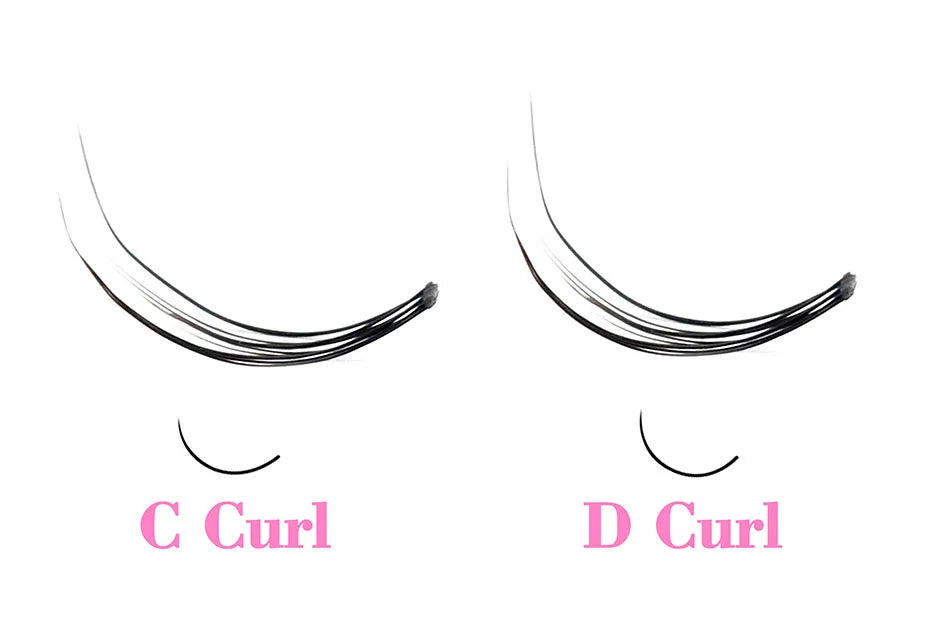Comparison of black C-curl and D-curl cluster eyelash extensions showing distinct levels of curvature.