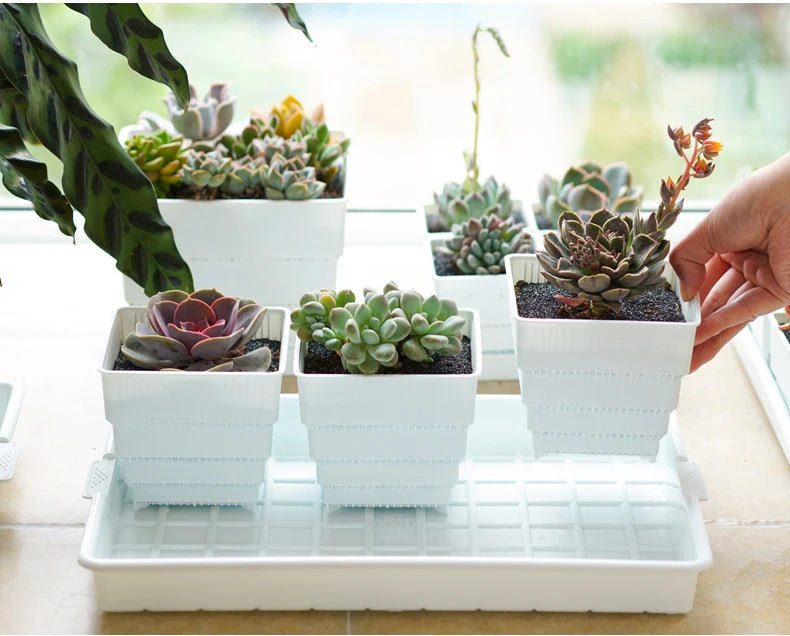 Meshpot Plastic Saucer Plant Tray Flower Pot Storage Rectangle Succulent Pot Tray  in Round Square Shaped for Home Decor