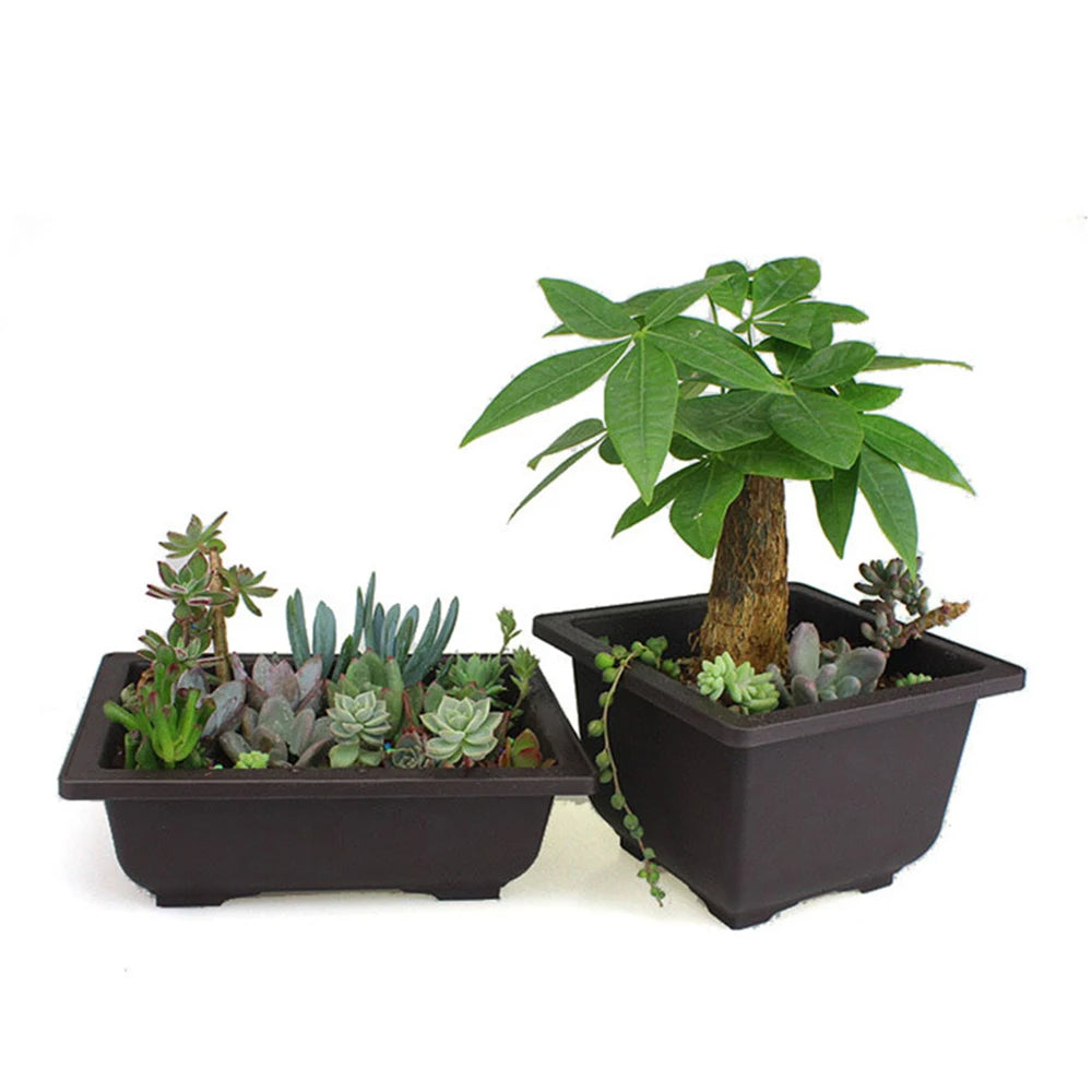 1PC 5size Plastic Flower Pot Plant Bowl Bonsai Succulent Basin Nursery Succulent Pot Home & Garden Supplies