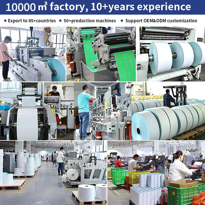 Thermal label paper production line winding large rolls of label stock