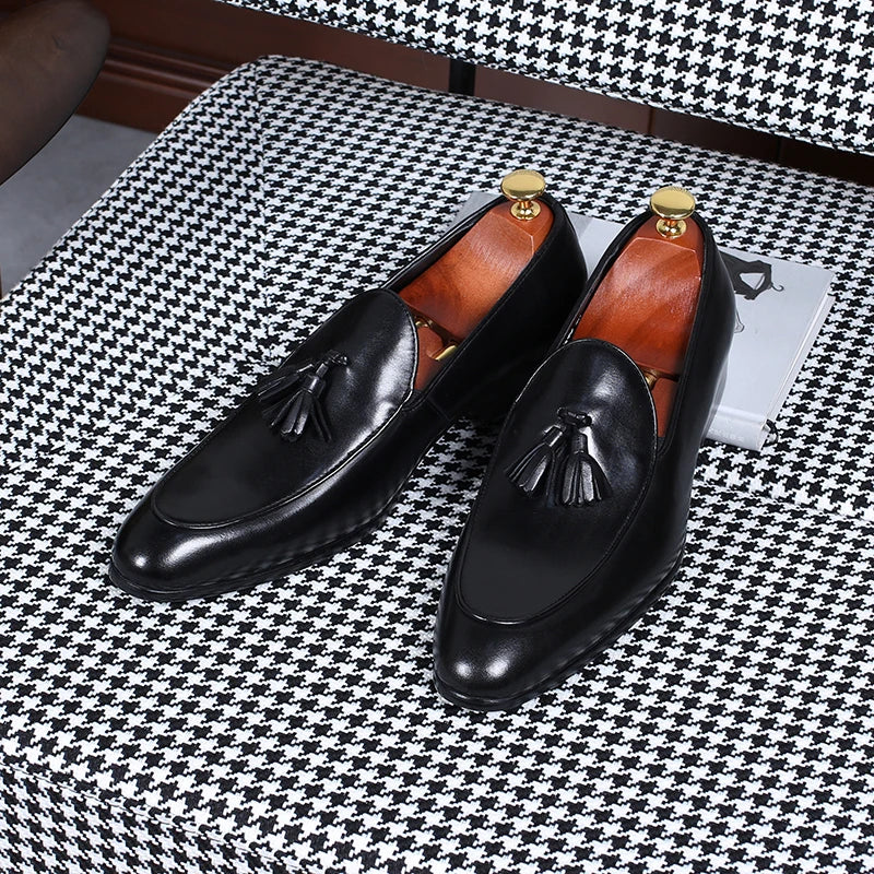 Isirhonour Hand-painted Patina Leather Loafers Mens Slip on Tassel Moccasins Italian Apron Toe Dress Shoes for Formal Party