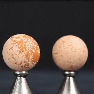 Two speckled, round volcanic stones for facial oil absorption sitting on metal stands, one dark and one light.
