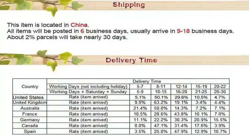 Shipping and delivery time table for dual ionic foot cleanse detox machine and spa body health care equipment.