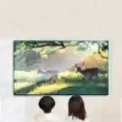 Large flat-screen television displaying a nature scene, positioned on a wall above two people.