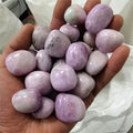 Purple kunzite tumbled stones, smooth polished lavender stones in hand