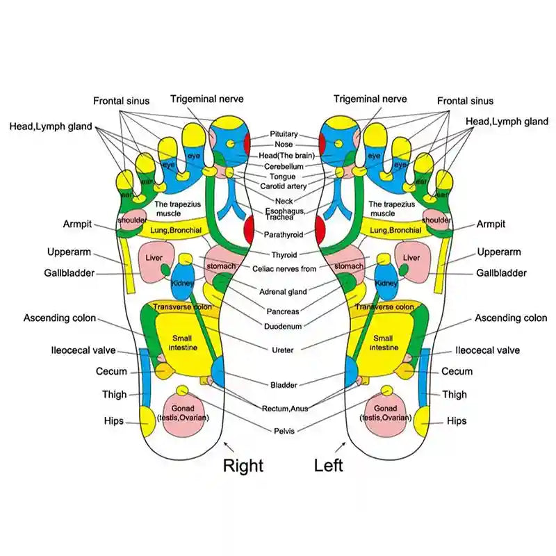 Foot reflexology chart showing acupressure points on soles for massage slippers, relaxation, and health therapy.