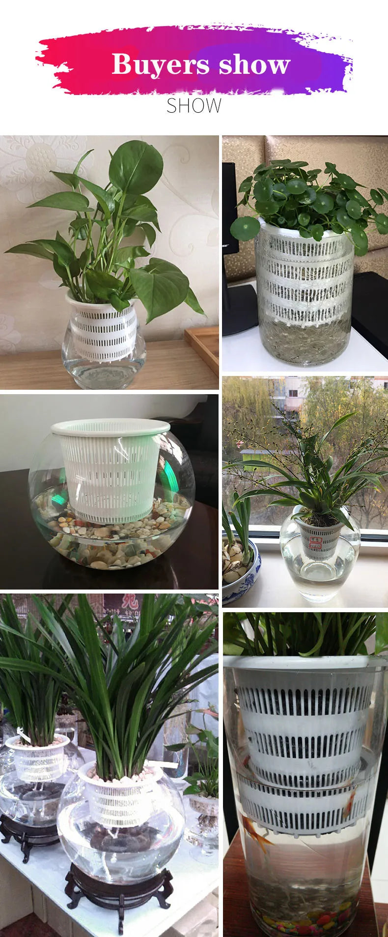 Meshpot 3PCS Colorful Plastic Hydroponics Basket Net Cup Mesh Pot Home Decoration Garden Supplies Flower Pot in 8cm/9cm/10cm