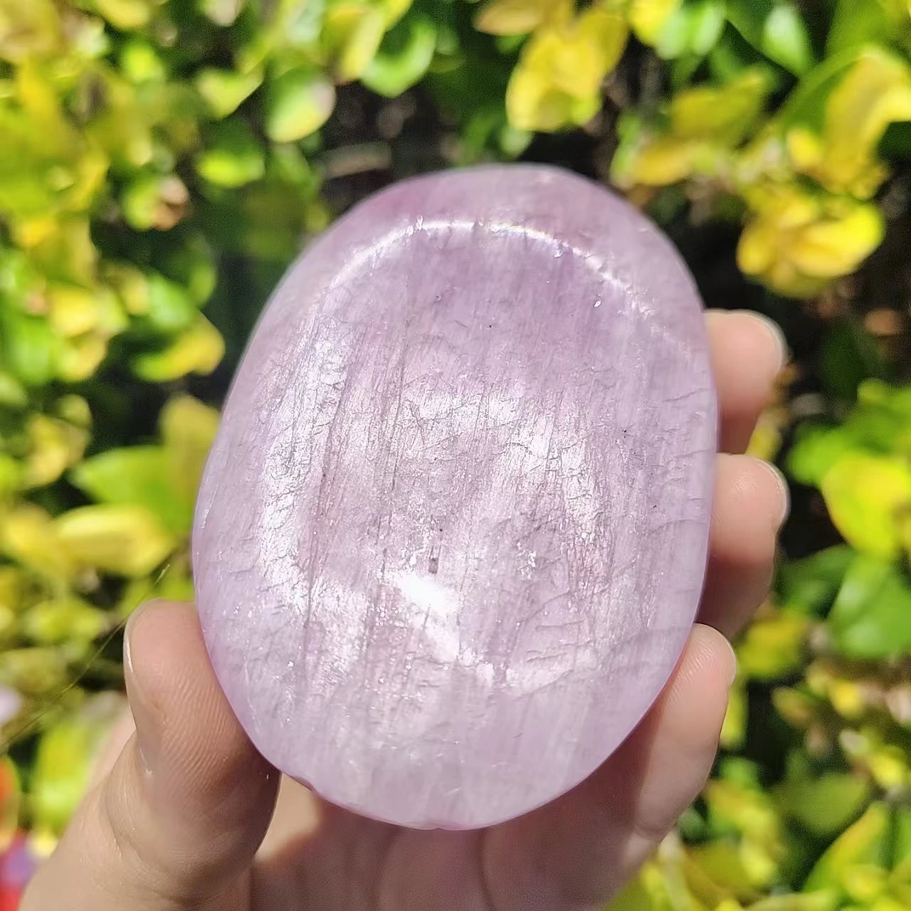 Kunzite Palm Pieces, Semi-precious Stones, Potted Landscaping Ornaments, Popular Science Minerals,About 6-8pcs/kg