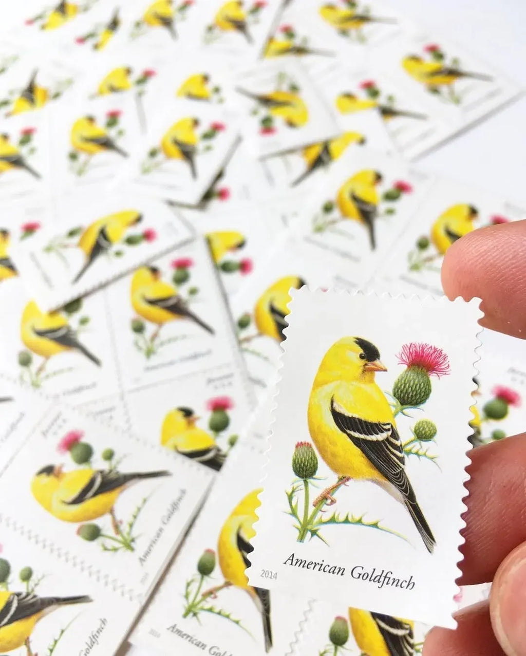 Self-adhesive bird stamp sheet featuring American Goldfinch, perforated edges