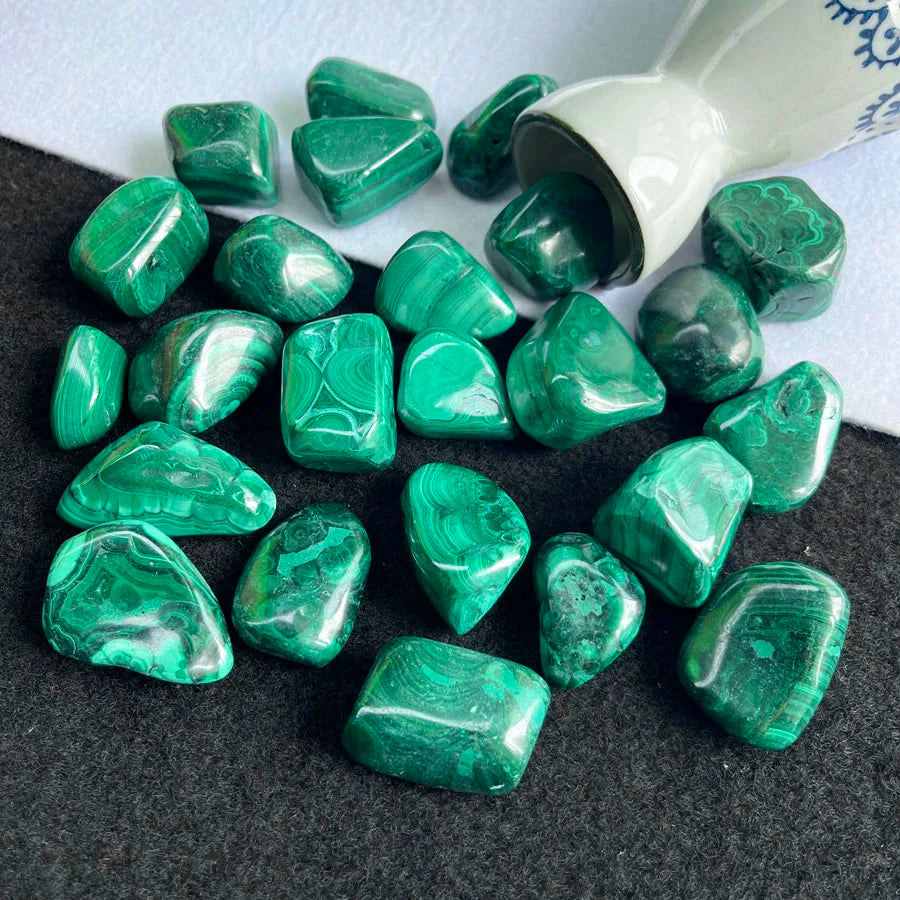 Tumbled malachite stones in white ceramic cup, glossy dark green mixed cut shapes