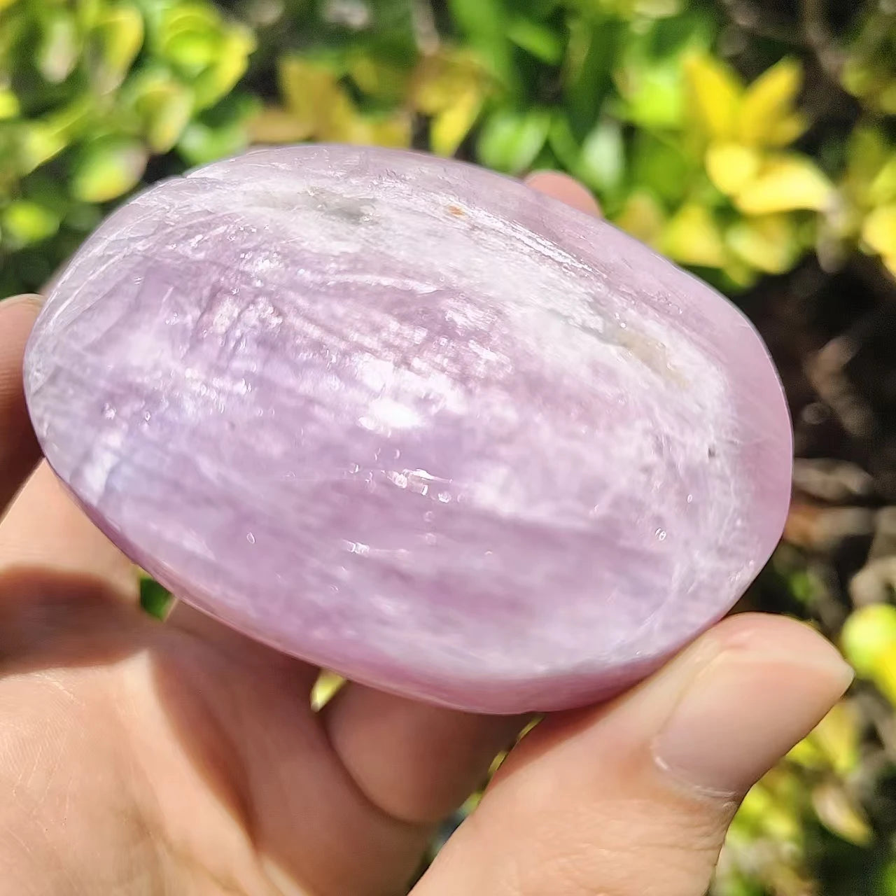Kunzite Palm Pieces, Semi-precious Stones, Potted Landscaping Ornaments, Popular Science Minerals,About 6-8pcs/kg