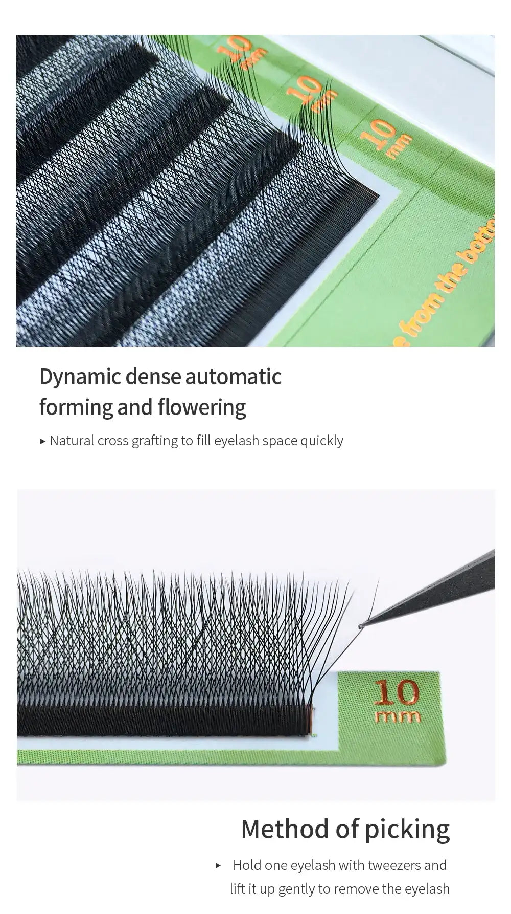 GLAMLASH L/LU/M W Shape Eyelash Extension 3D Premade Volume Fan Lashes W Style YY Lashes Faux Mink Volume Lashes Natural