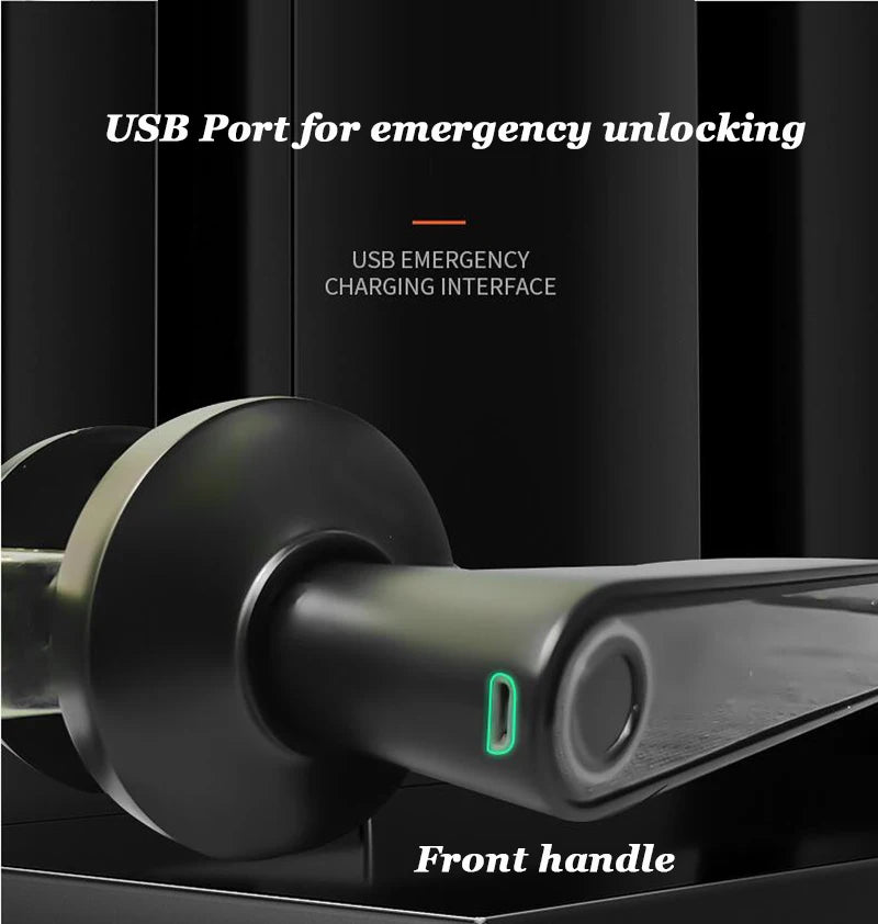 Bluetooth Tuya Smart Fingerprint Lock Lithium Battery Electronic Handle Lock Key For Wooden door