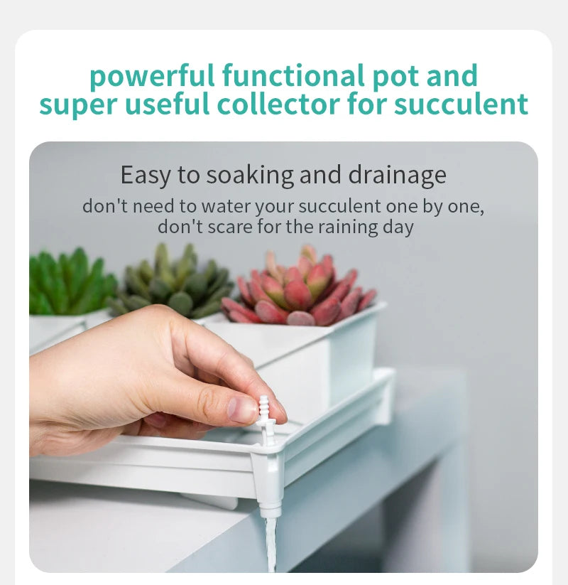 Meshpot Plastic Saucer Plant Tray Flower Pot Storage Rectangle Succulent Pot Tray  in Round Square Shaped for Home Decor