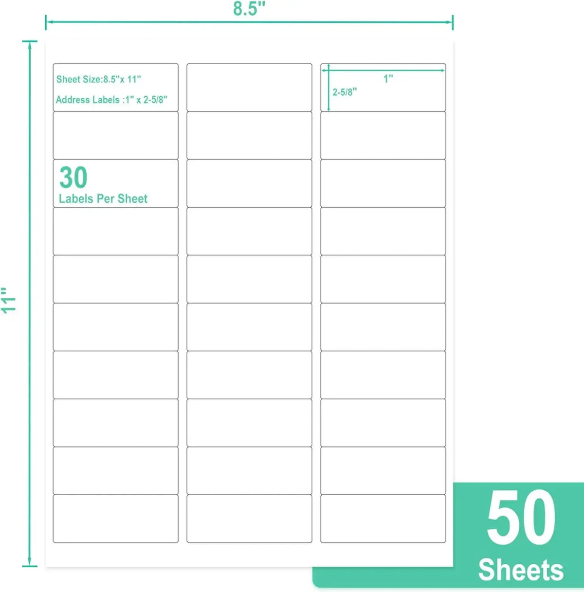 Printable address label sheet, 3 columns, 30 labels, 1x2-5/8 in size