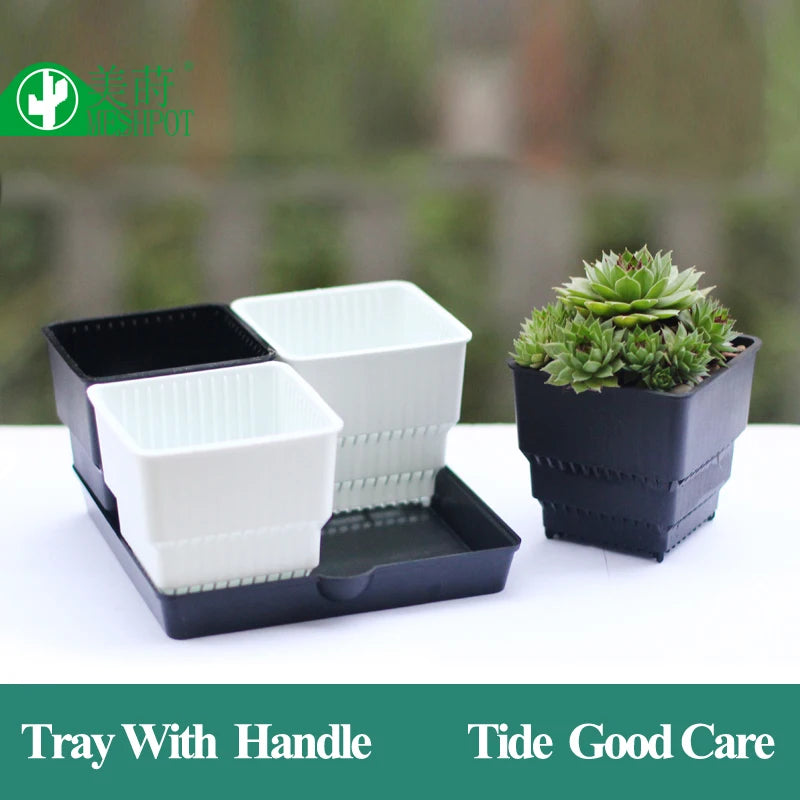 Meshpot Plastic Saucer Plant Tray Flower Pot Storage Rectangle Succulent Pot Tray  in Round Square Shaped for Home Decor