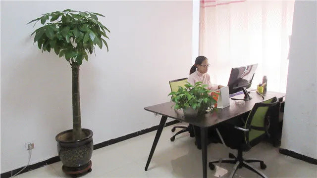 Shipping envelope bags; product not clearly visible in this office scene