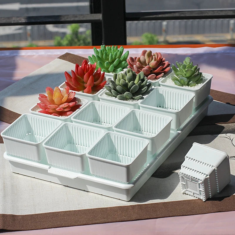 Meshpot 16-Pack Succulents Pots Plastic Flower Pot Plants Container Seedlings Nursery Supplies Home Decoration (Inner Dia. 6CM)