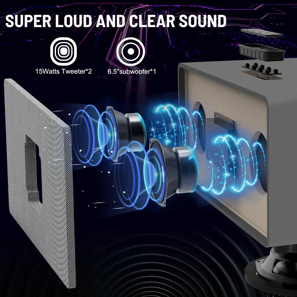 Wireless Karaoke Speaker with Dual Mics and Premium Wood Cabinet My Store