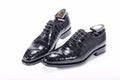 Goodyear Welt Mens Formal Shoes Luxury Customize Dress Shoes Men Leather Laces Genuine Crocodile Leather Wedding Shoes for Men