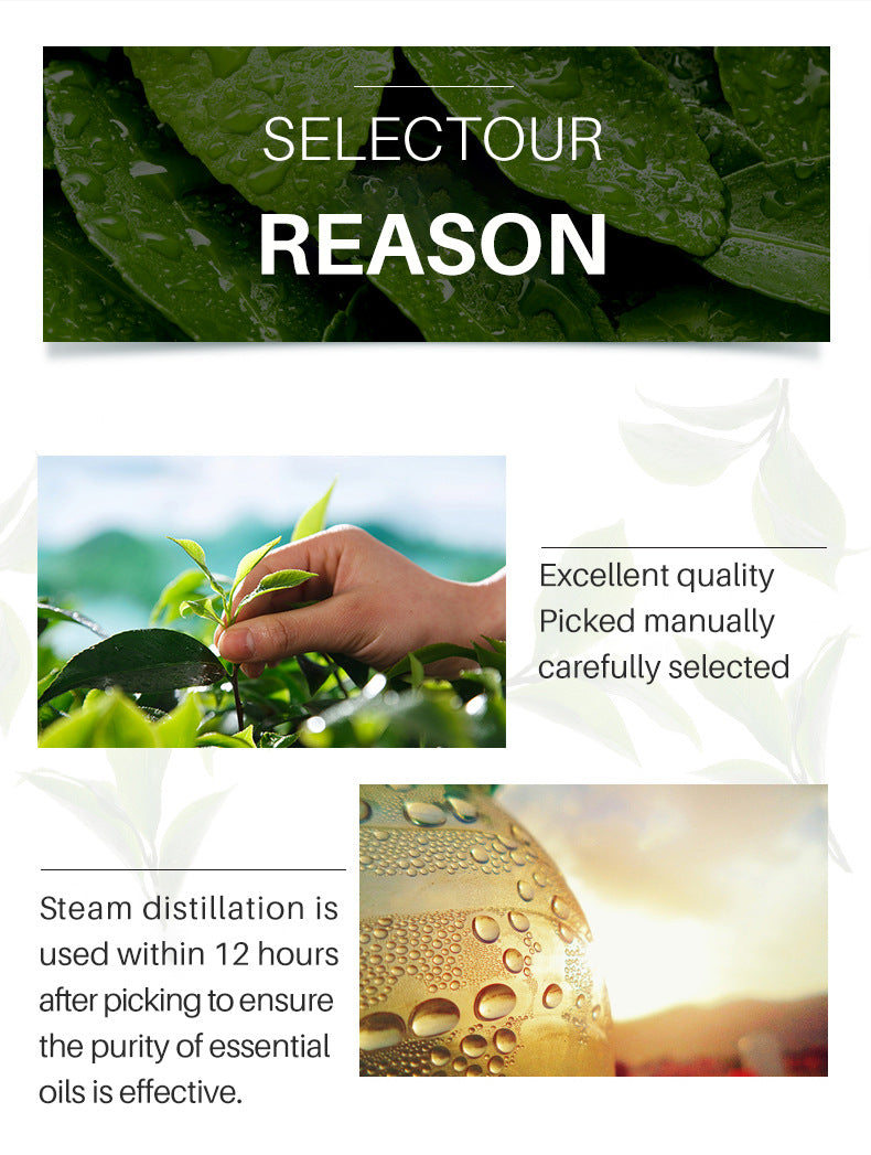 Organic Tea Tree Oil For Skin Face Hair Scalp Acne Treatment  Hair Growth Essential Oils for Diffuser, Aromatherapy Massage 10ml