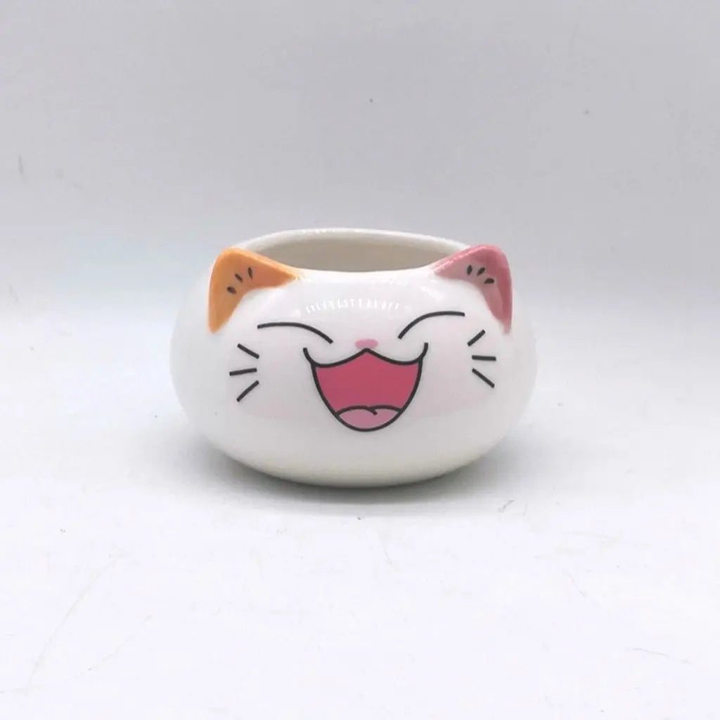 Creative Cute Flower Planter Ceramics Ornament Handmade Succulent Potted Bonsai Accessories Flowerpot Garden Supplies