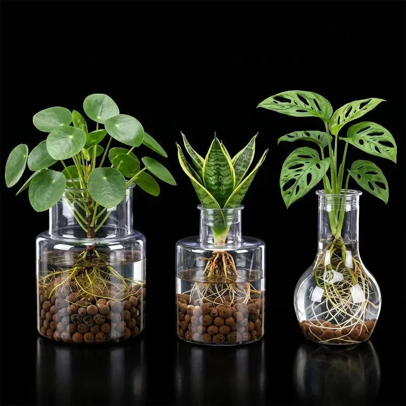 1/5x Transparent Hydroponic Flower Pot Planting Rooting Container Tabletop Plants Bonsai Office Table Home Gardening Decoration