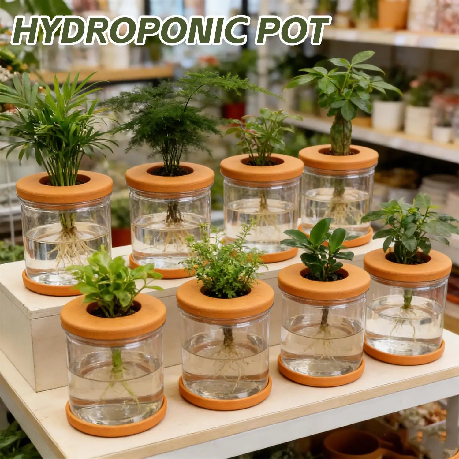 Hydroponic plant pot set with clear glass bodies and orange lids, filled with greenery