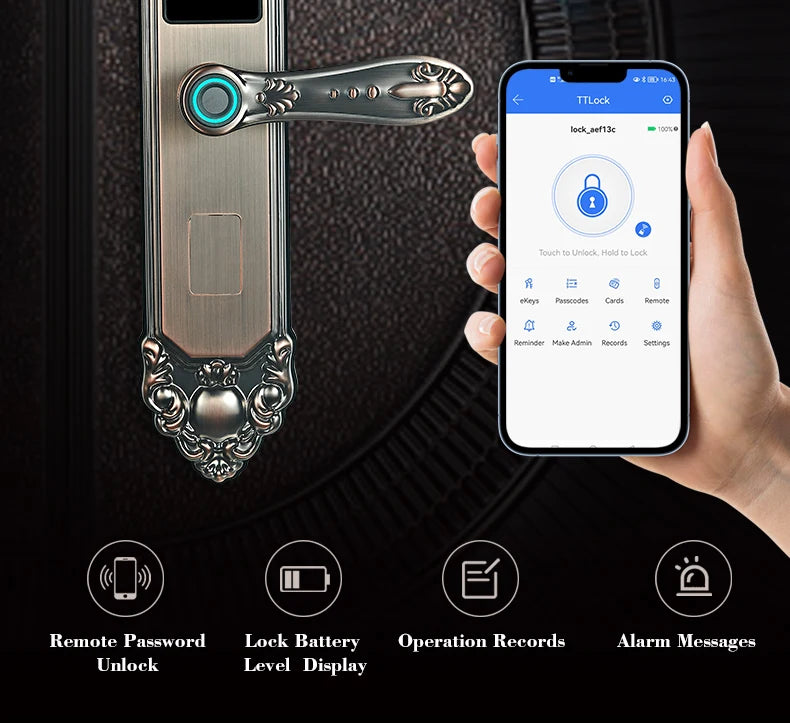 Competitive Price OEM&ODM TT Fingerprint Password Gold Handle Smart Door Handel Lock D30zm