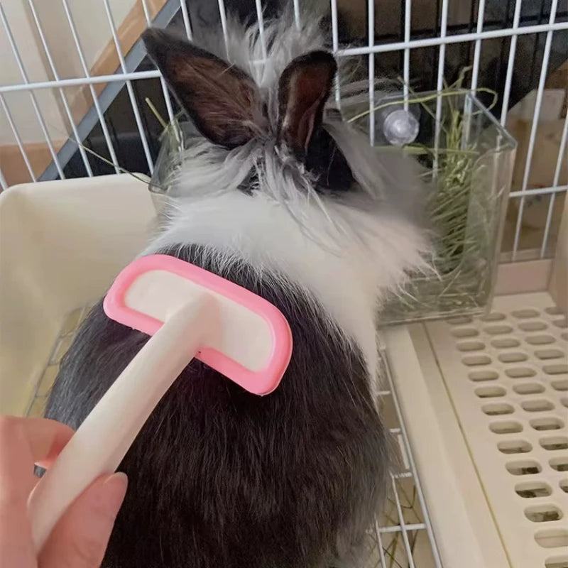 Pink silicone grooming brush grooming a rabbit’s fur to remove loose hair and maintain a healthy, soft coat.