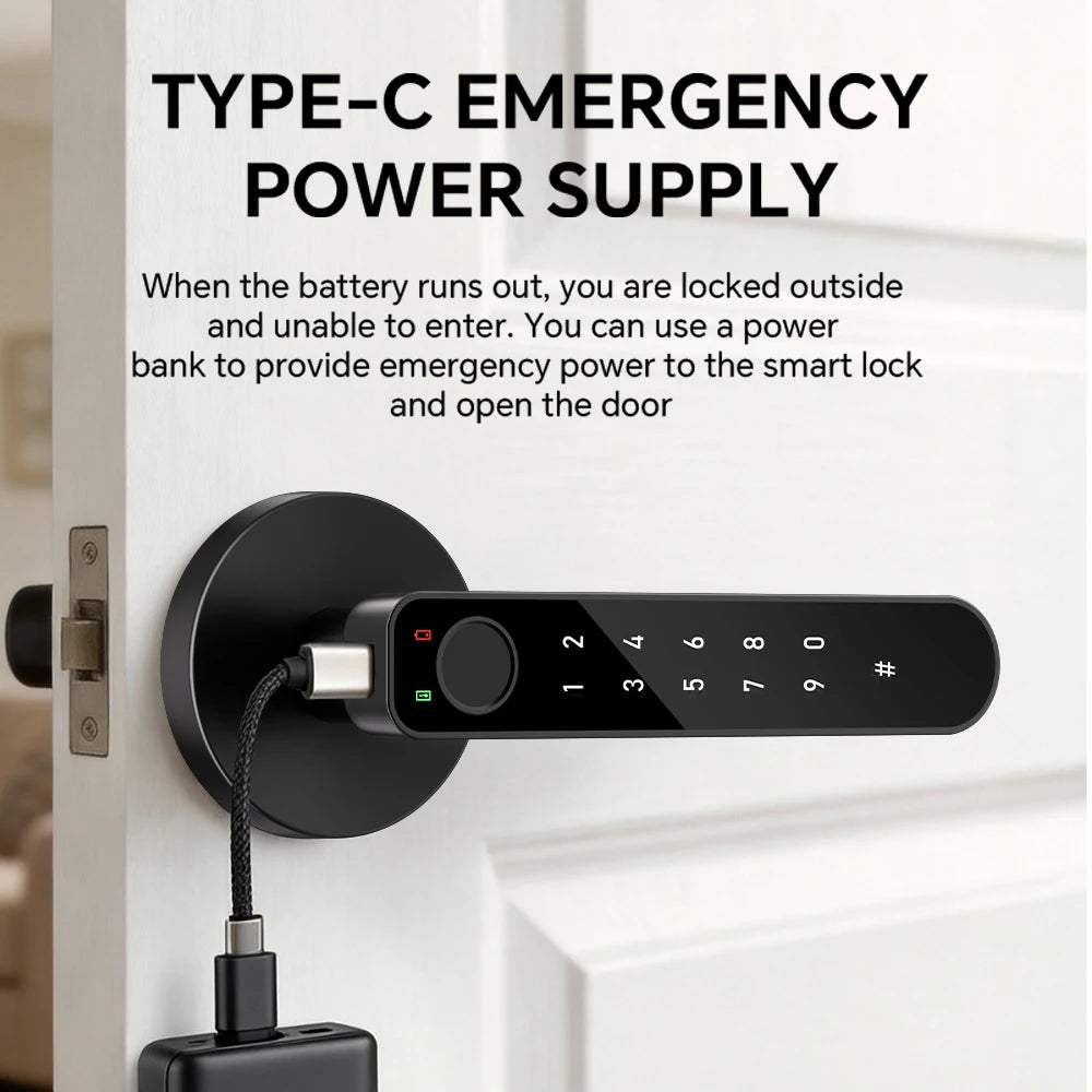 ICCSSI Smart Door Lock Fingerprint Lock Fingerprint/Tuya APP/Password/IC Card/key Unlock Multi Language Audio Playback B208APRO