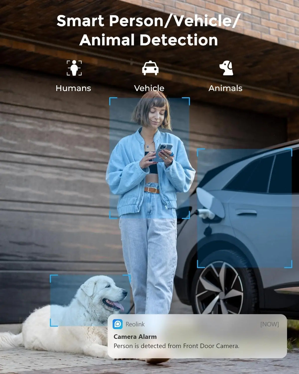 REOLINK 5MP Plug-in Outdoor WiFi Security Camera Security IP67 Smart Motion Detection Dual Wi-Fi IP Camera for Home Surveillance