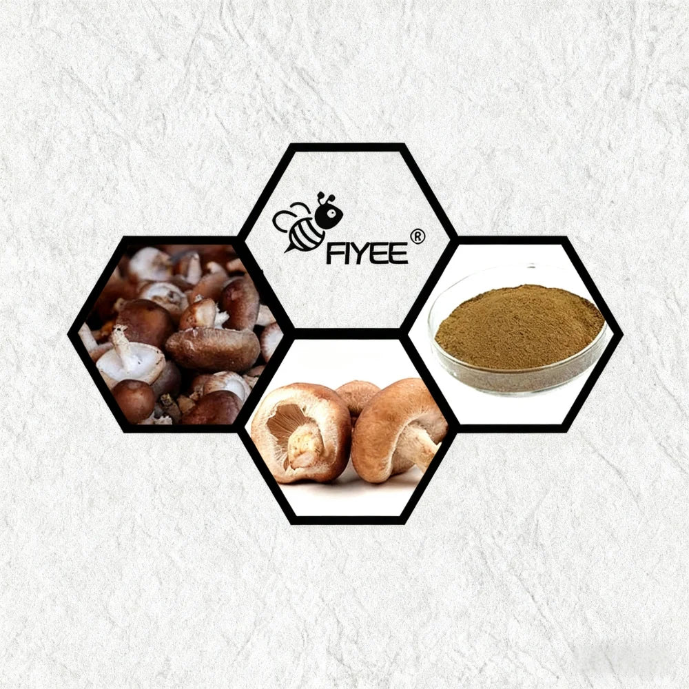 Global Fast Delivered AHCC,Shii-take Mushroom 20:1 Powder Customized Packing for DIY Homemade Soap Making