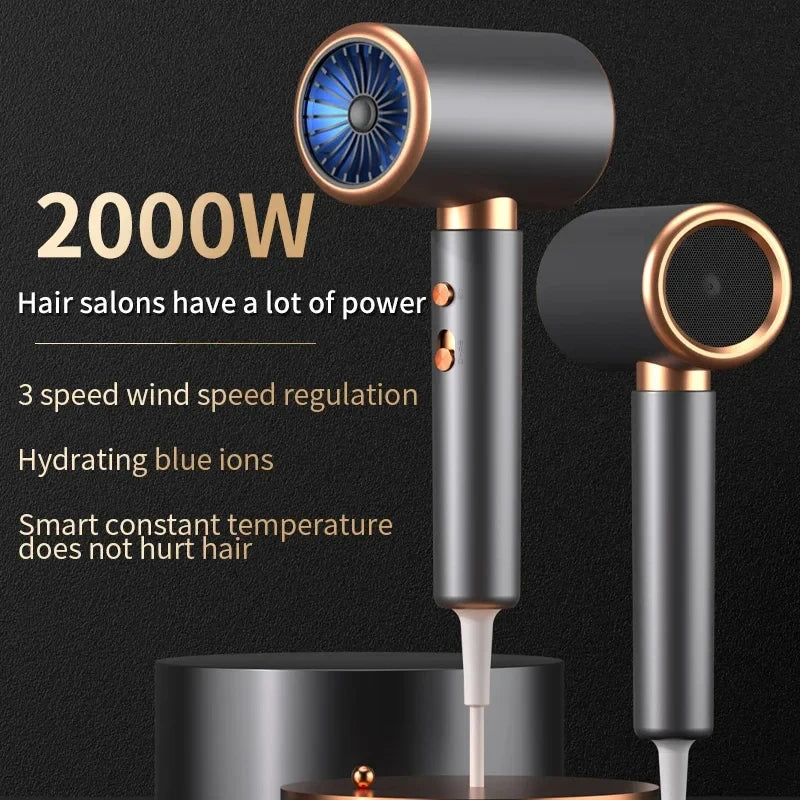HOMEFISH 2000W salon hair dryer, grey and gold ionic hairdryer with constant temp and 3-speed wind control settings.