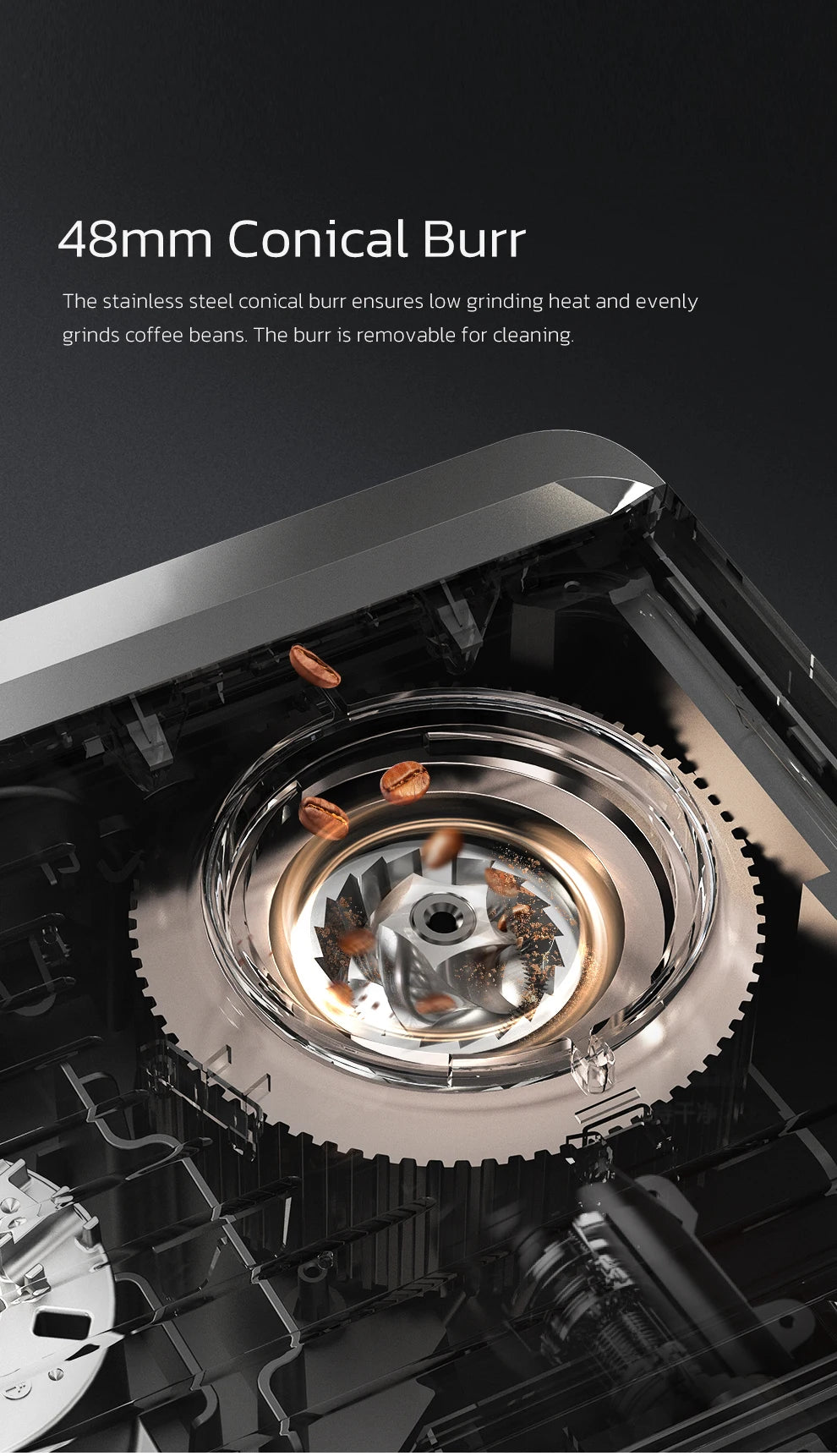 Close-up of a 48mm stainless steel conical burr coffee grinder with visible beans and removable grinding mechanism.