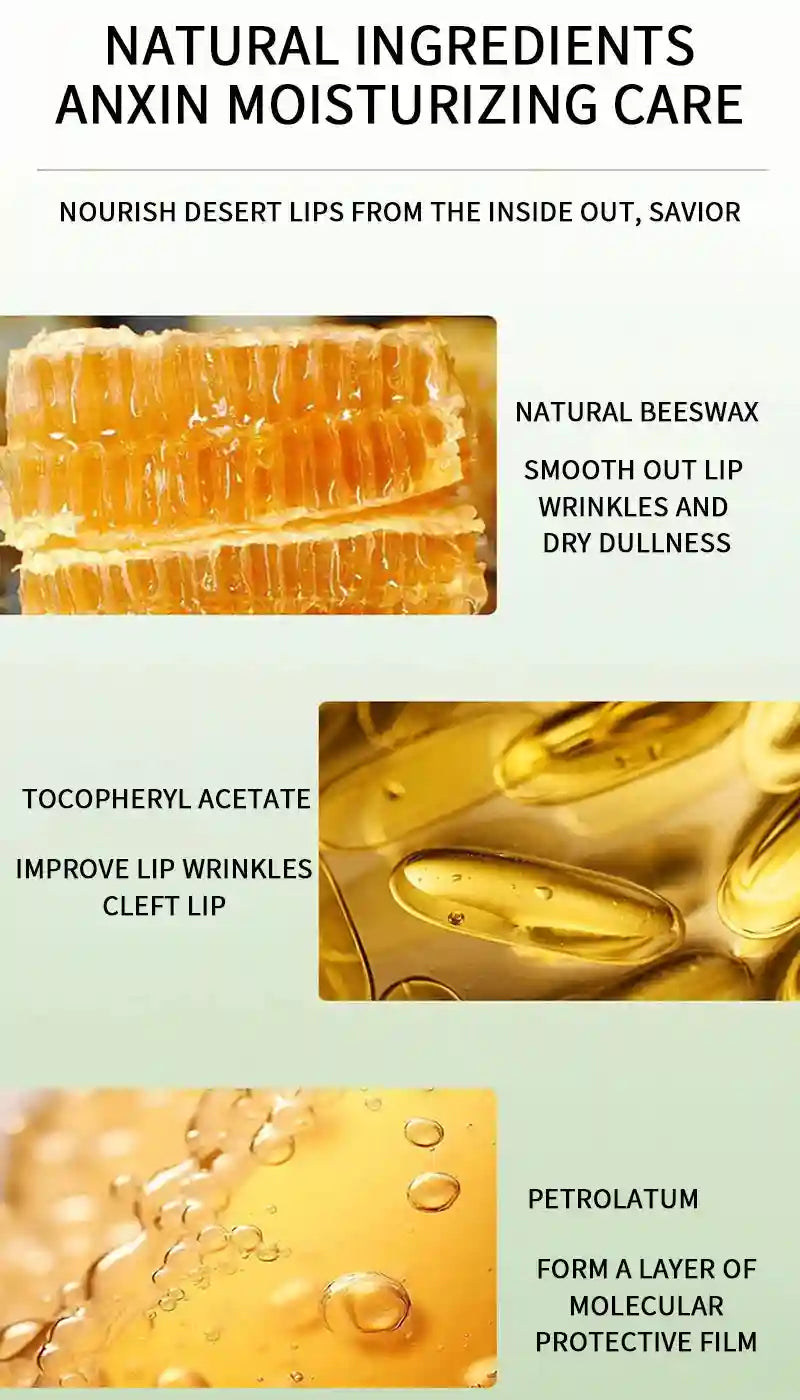 Lip Care Set: Moisturizing Jelly Balm Day & Night Duo by Tidesmit Lip Care Tidesmit