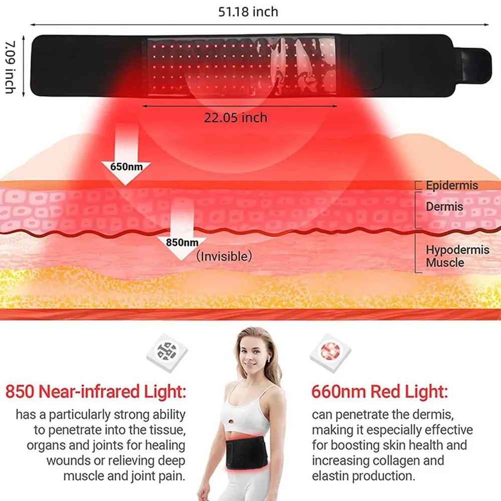 Red light therapy waist belt with 650nm and 850nm wavelengths for pain relief and skin rejuvenation.