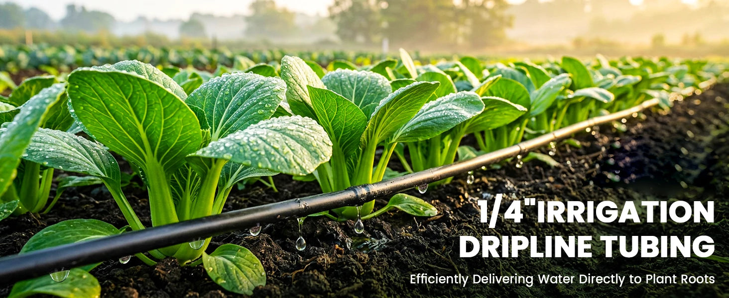 1/4" Irrigation Dripline Tubing 100Ft Roll 6" Emitter Spacing 0.5 GPH Emitters Built-In Drip Irrigation Line with 1/4" Fittings