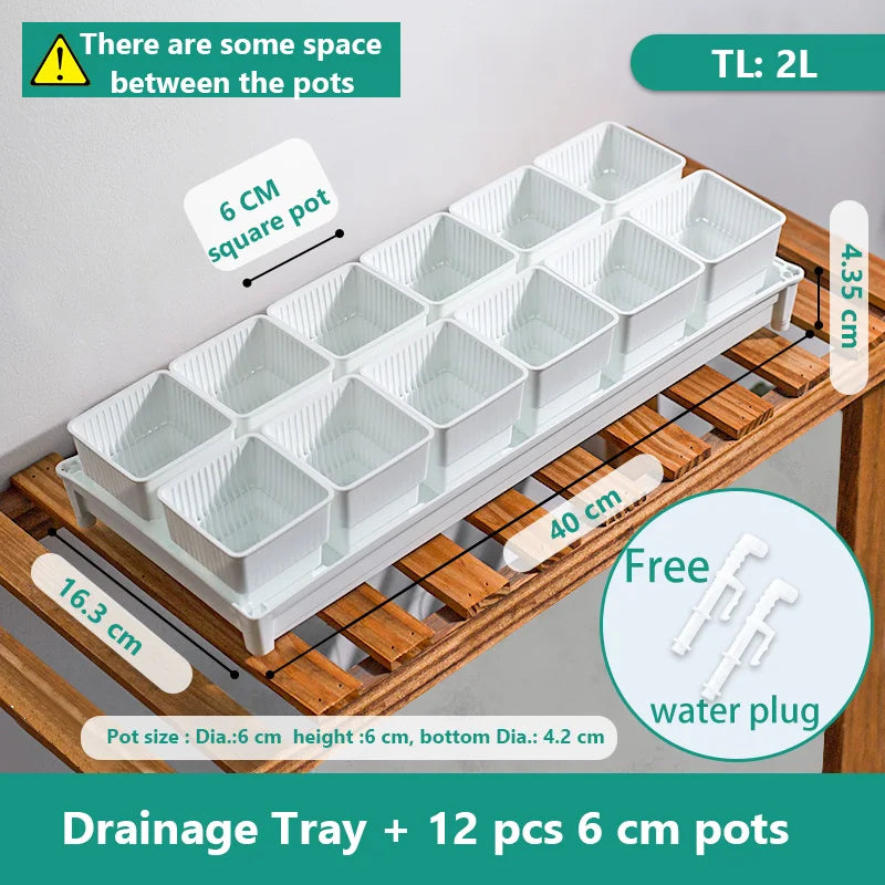 White drainage tray with twelve white 6 cm square plant pots