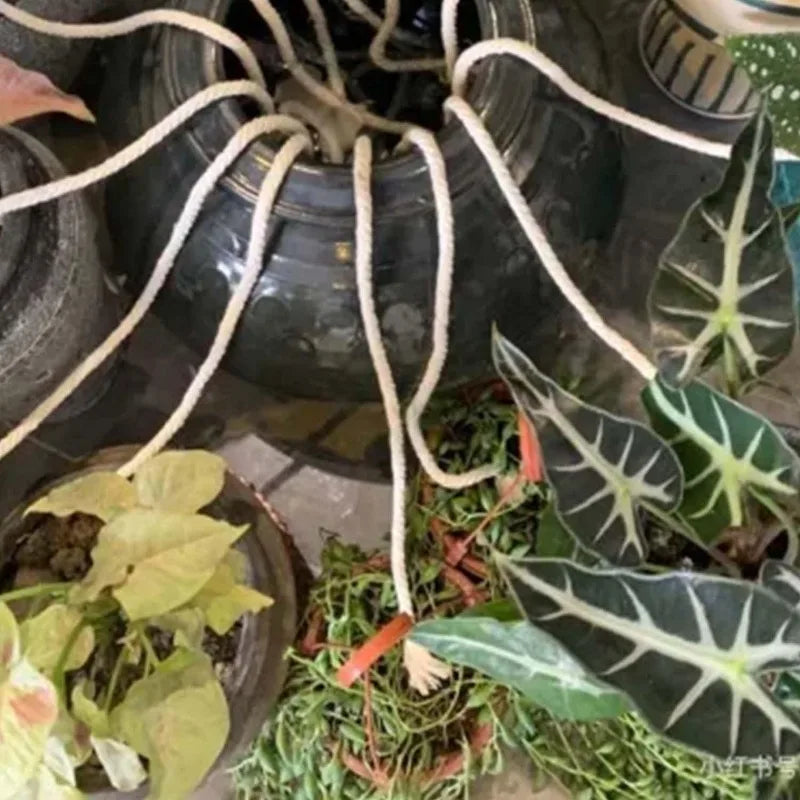 Self Watering Wick Cord Cotton String Rope DIY Automatic Watering Absorbent Wicks Rope Potted Plant Auto Drip Irrigation Waterer