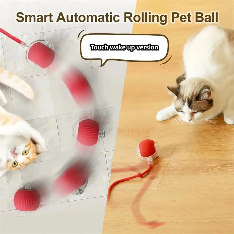 Smart interactive red ball toy for cats. Rechargeable, automatic rolling motion, and touch-activated for pet exercise.