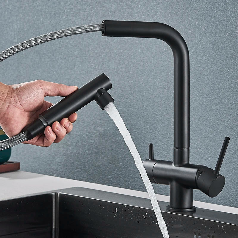 Filtered Kitchen Faucet Brass Purifier Faucet Dual Sprayer Drinking Water Mixer Tap Nozzle Sink Mixer Kitchen Gold Tap