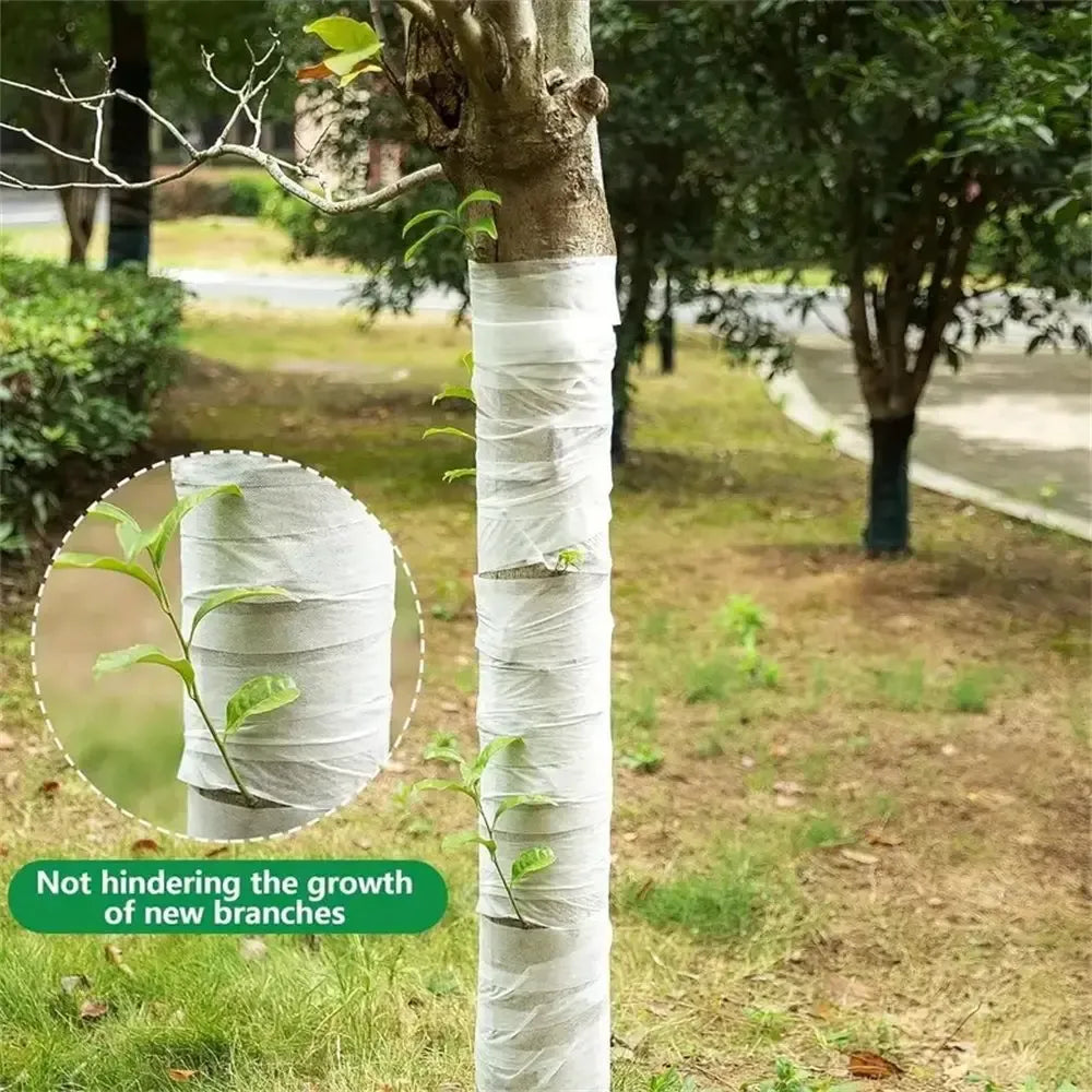 White windproof frost wrap band protecting fruit tree trunk and branches