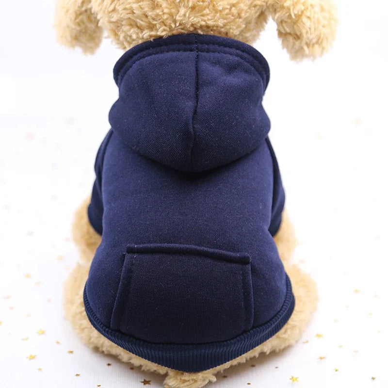 Small dog wearing a cozy navy blue hooded sweater for autumn and winter warmth and comfort.