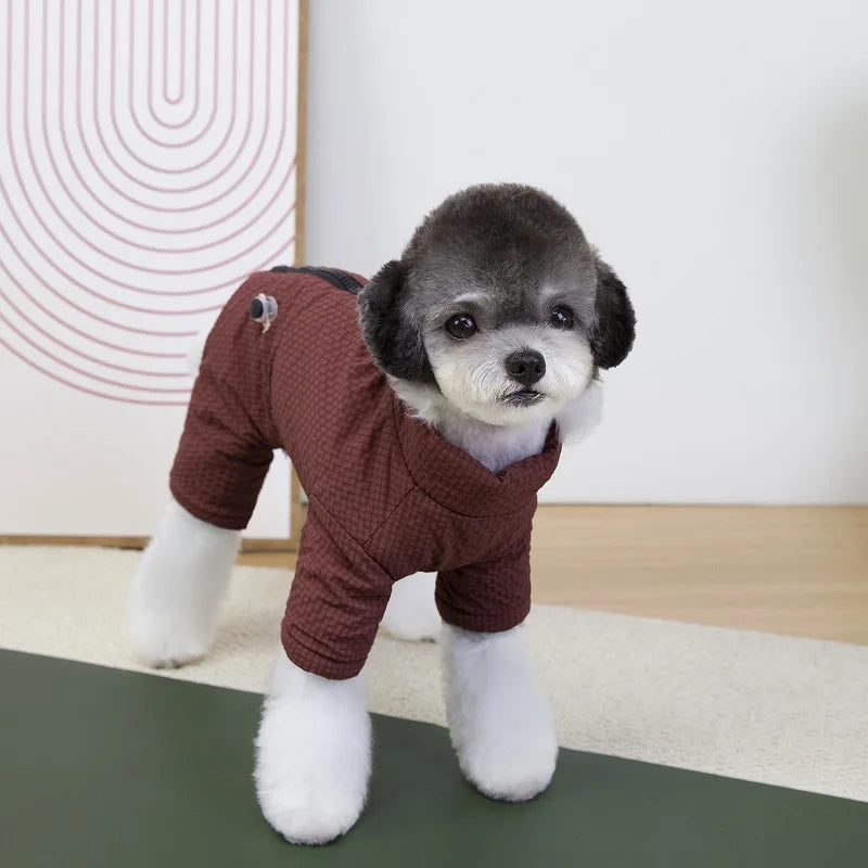 Small dog wearing a brown waterproof winter jumpsuit. Warm, four-legged puppy coat for cold weather protection.