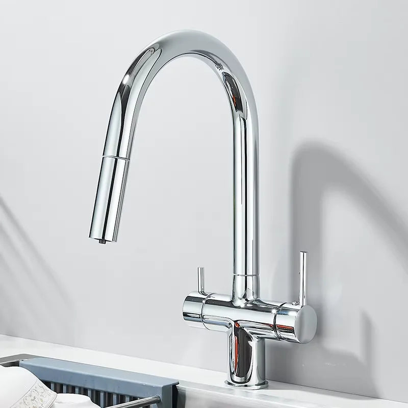 Pure Water Filter Kitchen Faucet Pull Out Flexible Kitchen Faucets Dual Handle Stainless Steel 2 in 1 Hot Cold Water Mixer Tap