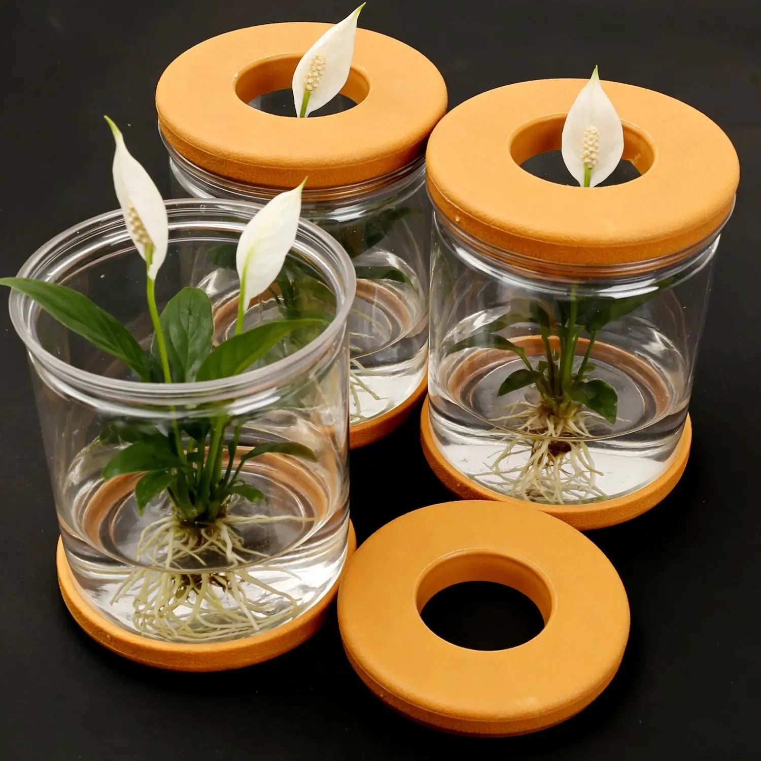 Transparent hydroponic plant pot containers with orange lids, showing cutout stopper details