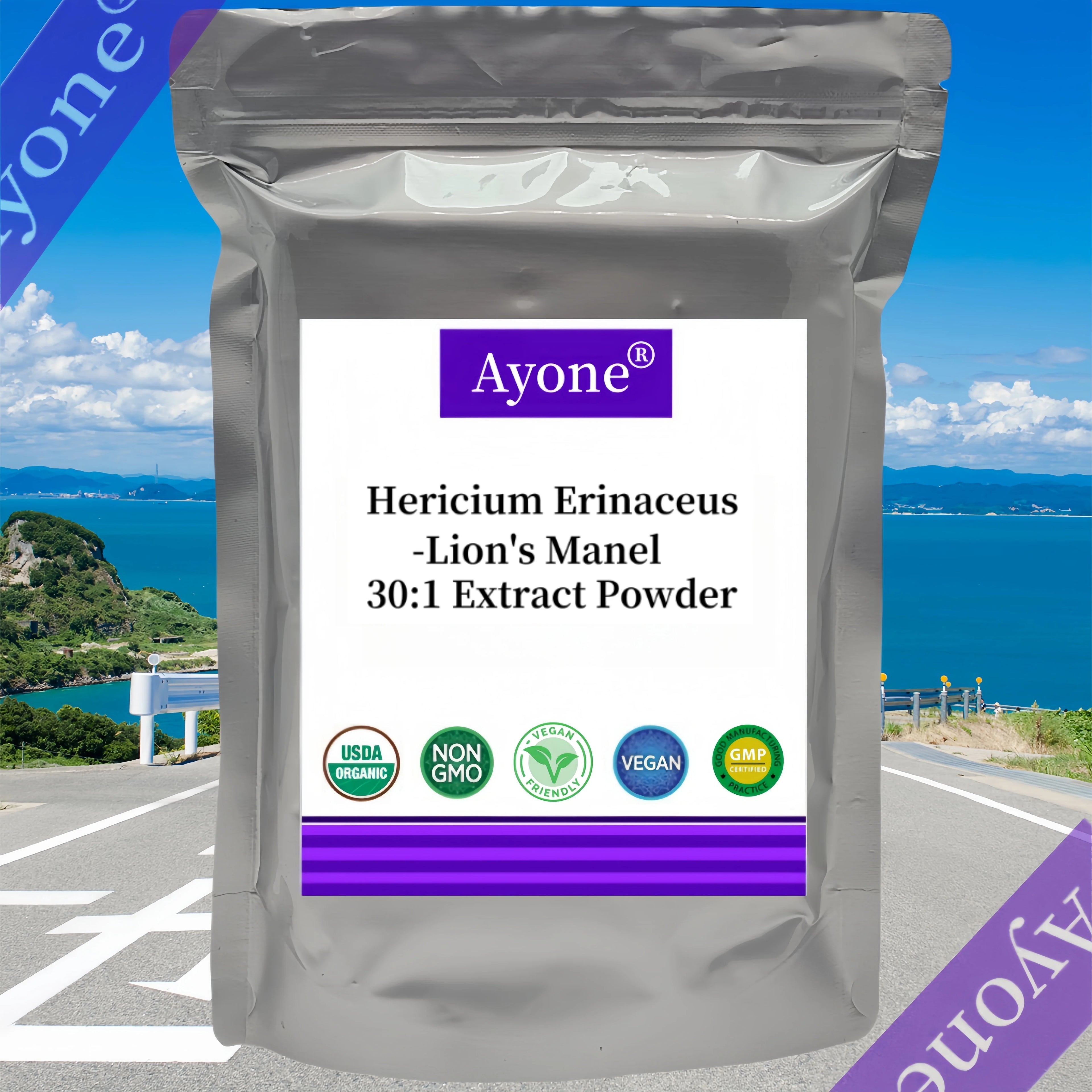 Customized Proportion Lions Mane Mushroom Extract Powder Packaging Bulk Hericium Erinaceus Out Packing Aluminum Foil Bag