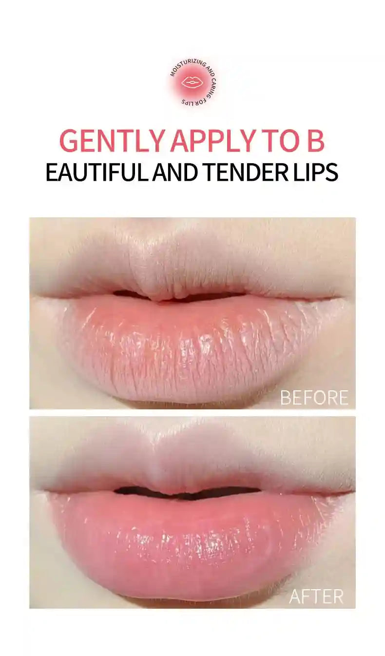 Fruit Lip Balm Set | Moisturizing Lip Care Treatment 8 Pack by Tidesmit Lip Care Tidesmit
